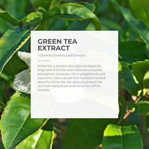 REYSENSE มูสทำความสะอาดผิวหน้าสูตรอ่อนโยน ผลิตในอิตาลี 100% ผสมไฮยาลูรอนิค แอซิด ช่วยเติมความชุ่มชื้น ทำความสะอาดล้ำลึก เหมาะสำหรับทุกสภาพผิว - Product Image 4