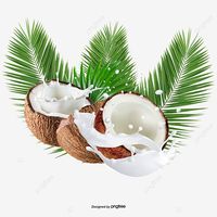 Te koop: Gedroogde kokosnoot, 100% natuurlijk, zoet, hoge kwaliteit, Vietnam, 12 maanden houdbaarheid, groothandel, klaar voor export, goedkope prijs +84