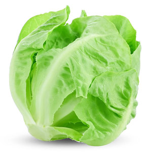 Vente en gros de légumes de laitue: feuilles, tiges et graines les plus vendues pour les salades, les soupes, les sandwichs, les wraps et les grillades - Product Image 4