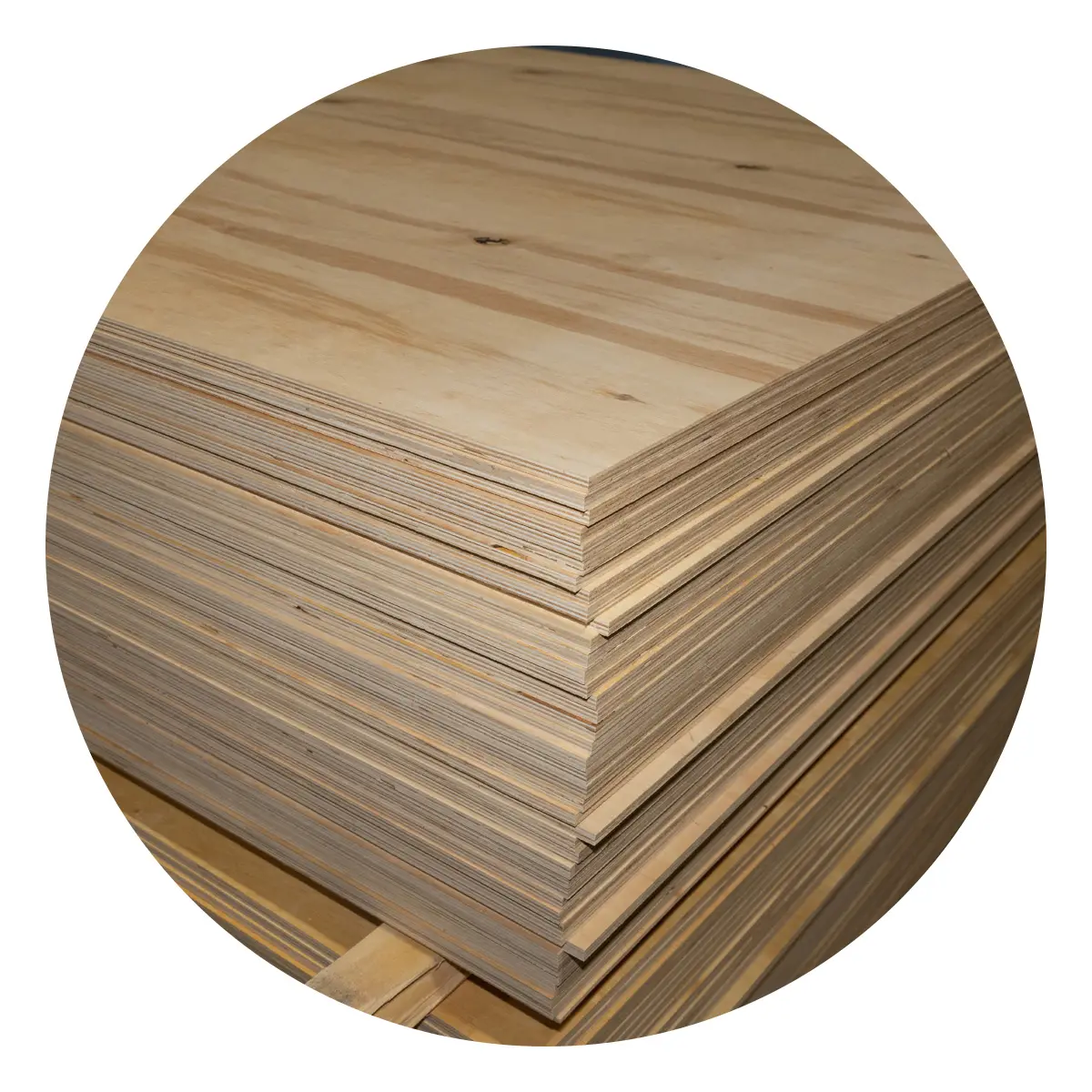 Plywood for packing Grade CP/C