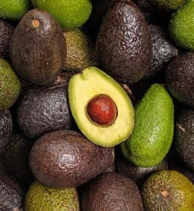 Avocat frais, Hass avocats à vendre. - Product Image 1