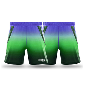 Shorts de sport confortables multi-couleurs pour hommes Shorts de jogging pour hommes Nouvelle arrivée Jogger Jogging Shorts - Product Image 4
