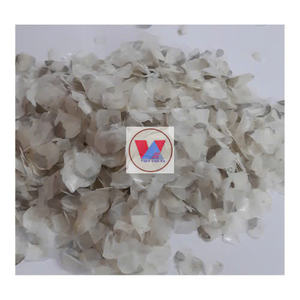 เครื่องชั่งปลานิลสำหรับสกัดคอลลาเจนจากเวียดนามเครื่องชั่งปลานิล - Product Image 3