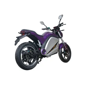 High Speed End Cool Long Range Commuting 2000w Cross High Power Electric Motorcycle