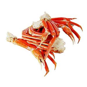 high quality frozen snow crabs legs at low price