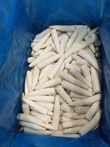 Maíz enlatado de primera calidad, espigas enteras en salmuera, maíz joven crujiente enlatado, venta al por mayor - Product Image 5