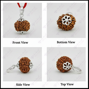 Colgante Rudraksha Nepalí de 11 Mukhi, Plata 925, 100% Original y Certificado con Corte Esmeralda y Dije de Coral de Once Caras - Product Image 2