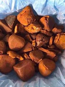 Cálculos Biliares de Buey Secos de Calidad / Cálculos Biliares de Ganado Comestibles para Alimentación Animal, Vida Útil de 3 Años, Sudáfrica - Product Image 5