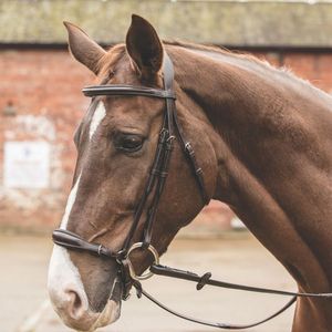 Muserolle Allemande Vente en Gros Nouvelle Bride en Cuir de Haute Qualité pour Cheval Bride en Cuir Noir de Qualité Supérieure pour Cheval - Product Image 5