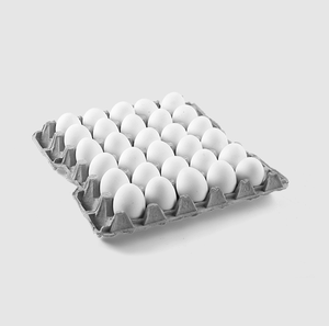 Venta al por mayor Cobb 500 huevos reproductores de pollos de engorde Premium Cobb 500 huevos de gallina fértiles - Product Image 5