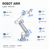 Bras de robot industriel articulé à 6 axes avec protection IP54, garantie d'un an, garantie à distance pour la ligne d'automatisation en usine