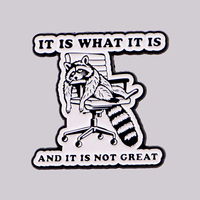 IT IS WHAT IT IS Pin's en émail pour sacs à dos, broches raton laveur pour femmes, accessoires bijoux animaux, cadeau pour amis