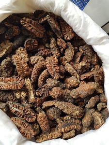 Rodajas de Noni liofilizadas Nunaakai analgésico y antibacteriano que produce energía ayudando a las células a regenerarse - Product Image 6