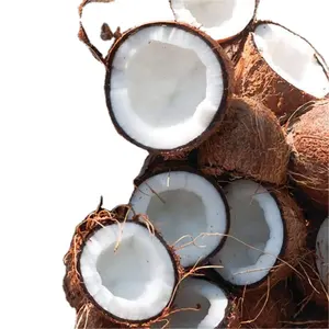 越南椰子产品-外壳椰子批发-价格合理-高品质2023/ DC