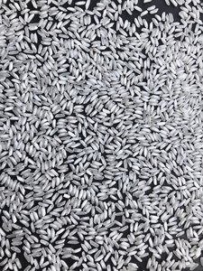 Riz blanc à grains longs de qualité supérieure, idéal pour l'exportation, prix compétitifs [K] - Product Image 5