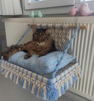 Hoogwaardig comfortabel boho macramé modern stijl klein rond houten pluche kattenbed hol huisdecoratie voor honden