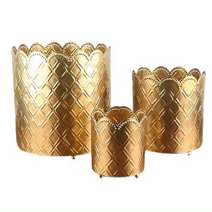 Maceta de oro de Metal con diseño en relieve decorativo moderno para uso en el jardín del restaurante doméstico a bajo precio - Product Image 1