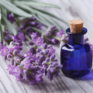 100% Pure & Natural Lavender <b>Essential</b> <b>Oil</b> <b>for</b> Aromatherapy, Skin & Hair OEM/ODM Private Label Available Bulk Wholesale Exporter - Product Image 1