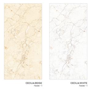 Surface de sculpture carrelage en porcelaine de haute qualité 60x120cm, nouvel arrivage indien, dernier modèle, meilleur prix de porcelaine indienne - Product Image 5