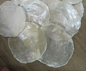 Conchas de vieiras decorativas Premium | Decoración de estilo playero, suministros de fiesta de boda para arte costero hecho a mano - Product Image 5