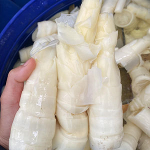 Pousses de bambou salées Sophie entières et tranches de légumes en conserve - Product Image 1