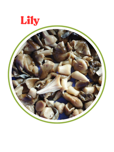 เห็ดฟางกระป๋องคุณภาพสูงในน้ำเกลือสั่งซื้อจำนวนมาก/ดอกลิลลี่ - Product Image 3