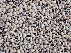 Frijoles CANNELLINI PREMIUM | ORIGEN DE VIETNAM | ENTERO Y PURO | CALIDAD ALIMENTARIA - Product Image 3