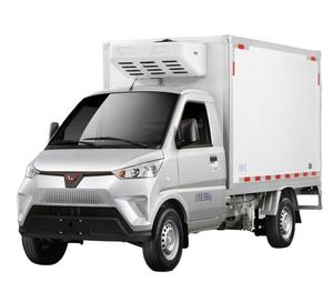 SGMW Wuling 2,7 toneladas Mini Van Box camión de carga eléctrico refrigerado camión congelador para carne congelada y pollo LHD/RHD Van - Product Image 1
