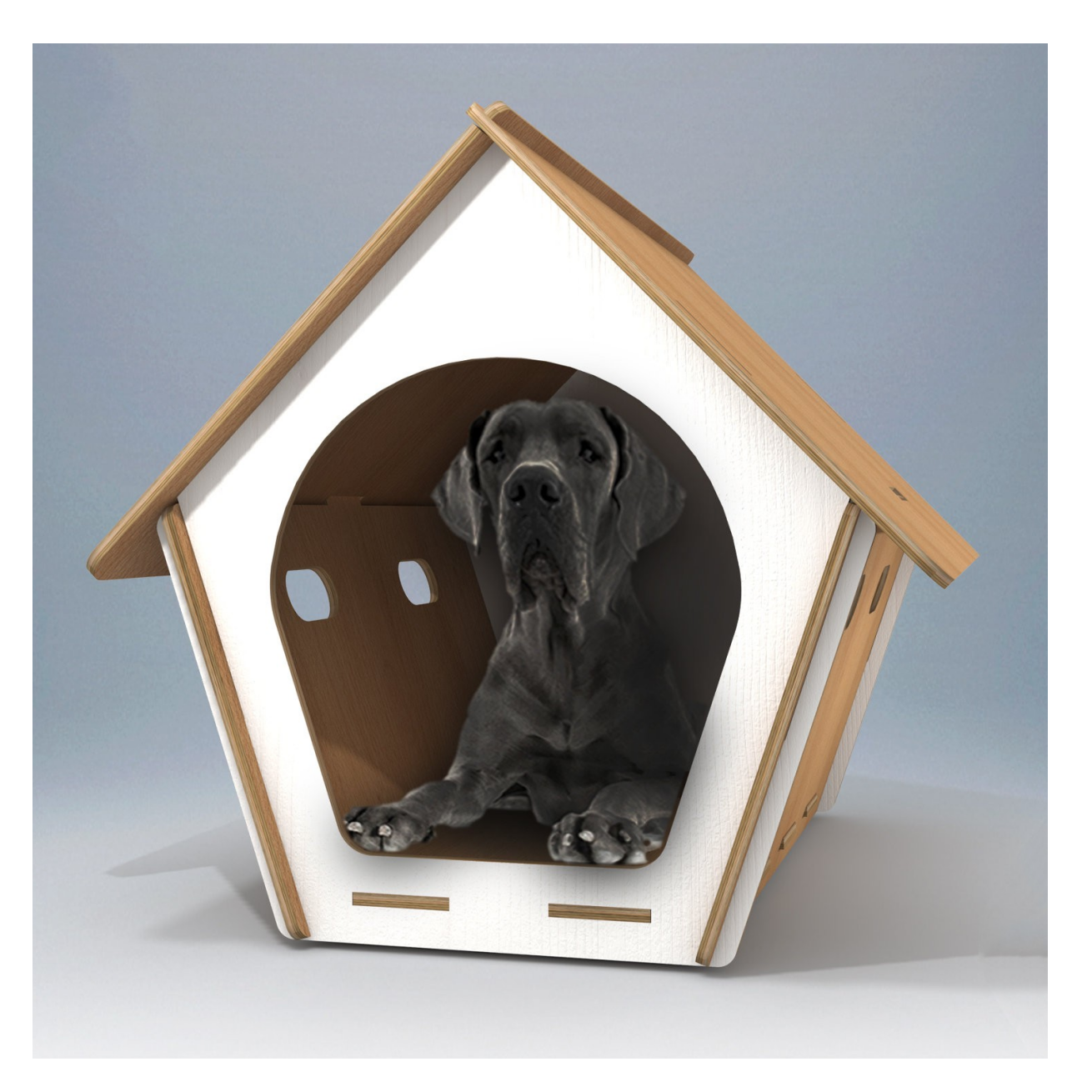 Rustic Wooden Dog Cage Box Design Sleeping Congo Dog House Dog Furniture  Pet Durable Modern House Indoor Best Puppy Crate Kennel