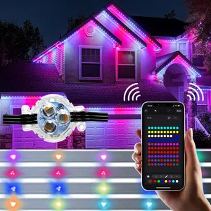 Iluminação LED de ponto de pixel para paisagem, iluminação permanente para decoração de exteriores, LED de 12V 24V RGBW, iluminação permanente para férias, 2904