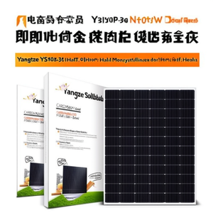 Panneau solaire monocristallin HJT demi-cellule de type N Yangtze Solar YS150P-36 800W pour toit résidentiel - Product Image 2