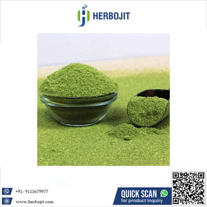 Poudre de piment vert séché par pulvérisation 100 % naturelle de qualité supérieure, en vrac, qualité alimentaire premium, pour la cuisine et l'usage culinaire - Product Image 6