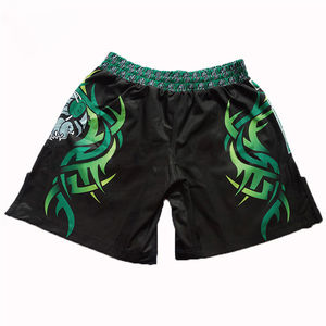 Short de combat de boxe MMA de qualité supérieure short léger extensible dans les deux sens confortable respirant Muay Thai MMA pour garçons - Product Image 6