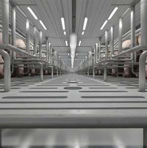 Struttura in acciaio a basso prezzo casa di allevamento di suini automatico capannone per suini prefabbricato penna sistema di alimentazione di porco kit per la casa del maiale - Product Image 3