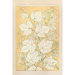 Owen Jones' Paper <b>Poster</b> Leaves From Nature No. 2 for Wall Decor - Product Image 1