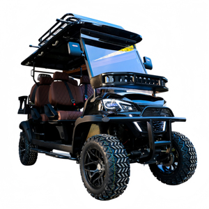 Carro de Golf Usado en Excelentes Condiciones - Product Image 4