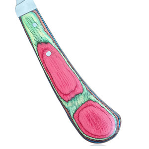 คอลเลกชันมีดกีบใบมีดโค้งที่มีความแม่นยำเครื่องมือสำหรับดูแลกีบม้าตัดแต่งและดูแลกีบม้าขายส่ง - Product Image 4