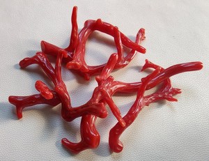 Palo de coral rojo italiano natural genuino, palo pulido de coral rojo italiano natural 100%. Palo de Coral Brillante Pulido, Palo de Coral - Product Image 2