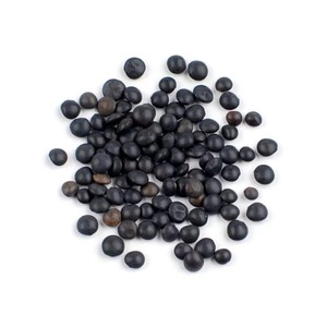 Lentilles noires séchées biologiques de qualité supérieure, non-OGM, riches en protéines, vente en gros, fraîches et saines, goût naturel - Product Image 2