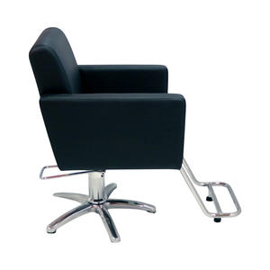 [ECCLIM] Espace de salon moderne EC-06A idéal de vos rêves (chaises de salon et unités de lavage à contre-courant) dans le produit le plus vendu - Product Image 1