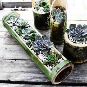 Pots tubulaires en bambou naturel et écologique Pots de fleurs en gros Pot d'arbre suspendu en bambou fabriqué au Vietnam - Product Image 4