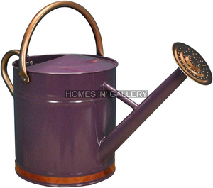 Dernier modèle de décoration d'intérieur Décoration de jardin Arrosoir antique en fer pour jardin intérieur et extérieur - Product Image 2