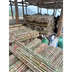 Harga grosir terbaik tiang bambu pabrik Vietnam tiang bambu untuk dijual siap untuk ekspor dalam jumlah besar