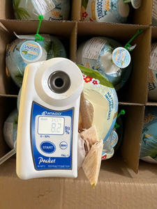 Fournisseur en gros de jeunes noix de coco fraîches de haute qualité offrant de l'eau de coco aromatique et sucrée pour les marchés mondiaux - Product Image 2