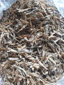 Anchois séchés en gros, sans tête ni entrailles, prêts à cuisiner pour les repas et la préparation alimentaire industrielle - Product Image 6