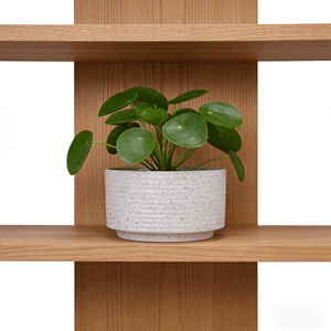 2 Peças de Vasos de Flores de Cerâmica Ecológicos e Leves com Design Moderno para Uso em Casa e Jardim - Branco Leite - Product Image 2