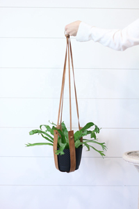 Vente en gros de cintres muraux pour plantes d'intérieur et d'extérieur pour pots de fleurs Sangle de suspension moderne en cuir véritable pour plantes - Product Image 6