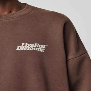 Marque Mode Pull Pull Imprimer Bas quantité minimale de commande À La Mode De Luxe Tricoté Femmes Hiver Épais Livraison Rapide Régulier - Product Image 5