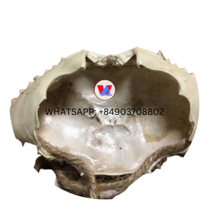 COQUILLE DE CRABE ENTIER SÉCHÉE-COQUILLE DE CRABE SÉCHÉE POUR ALIMENTS - Product Image 2