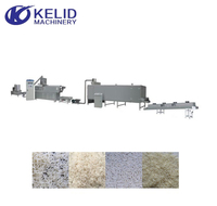 Ligne de production de riz artificiel entièrement automatique, extrudeuse à double vis, machine à riz artificiel avec moteur et contrôle PLC